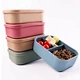 bento lunch boxes